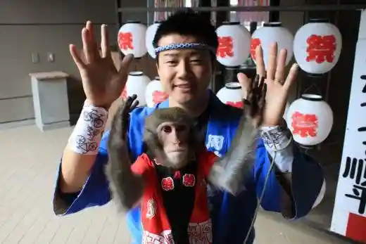 Lake Kawaguchi Monkey Show Theater