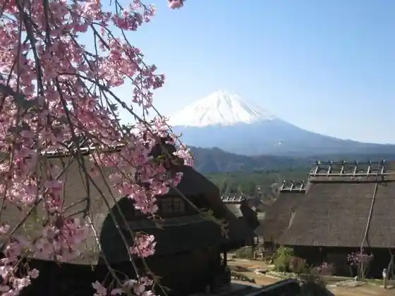 Saiko Iyashi-no-Sato Nenba