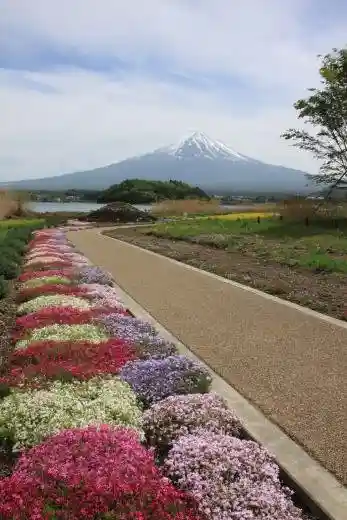 Oishi Park Flower Road
