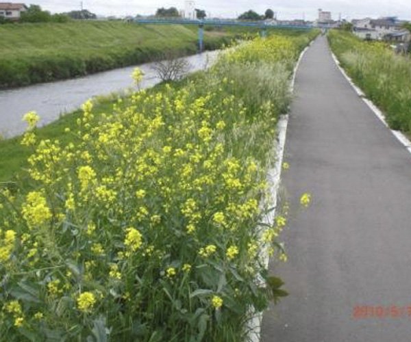 Cycling Course