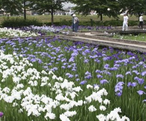 Yamazaki Park