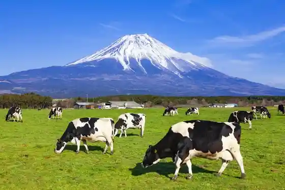 Asagiri Highlands