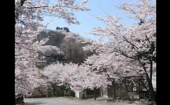 Sakurayama Park