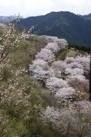 Sakurayama Forest Park