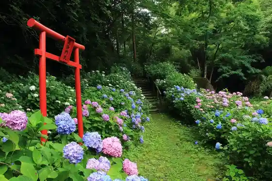 Yashio Hydrangea Village