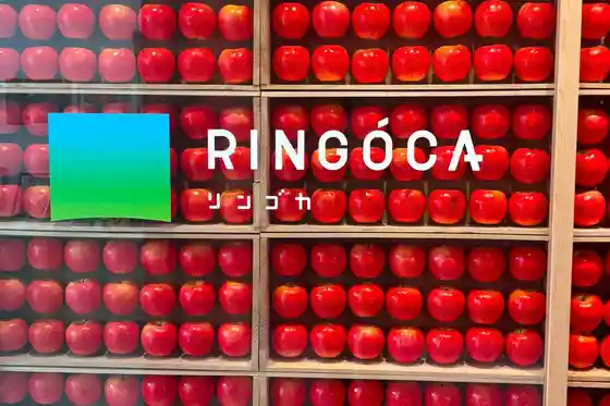 RINGOCA Fujisaki Industry and Culture Center