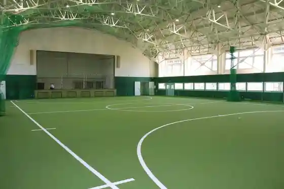 Fujisaki Town Ground