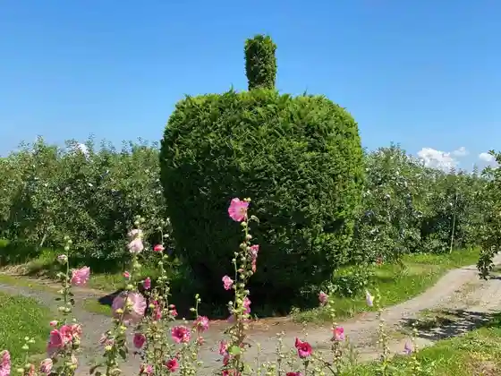 Apple-Shaped Tree