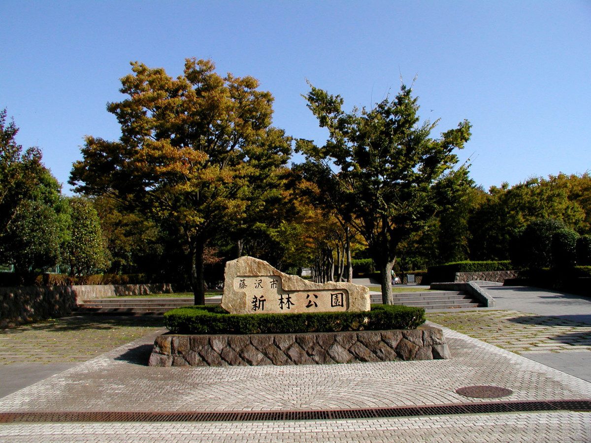 Shinrin Park (Strolling and Birdwatching)