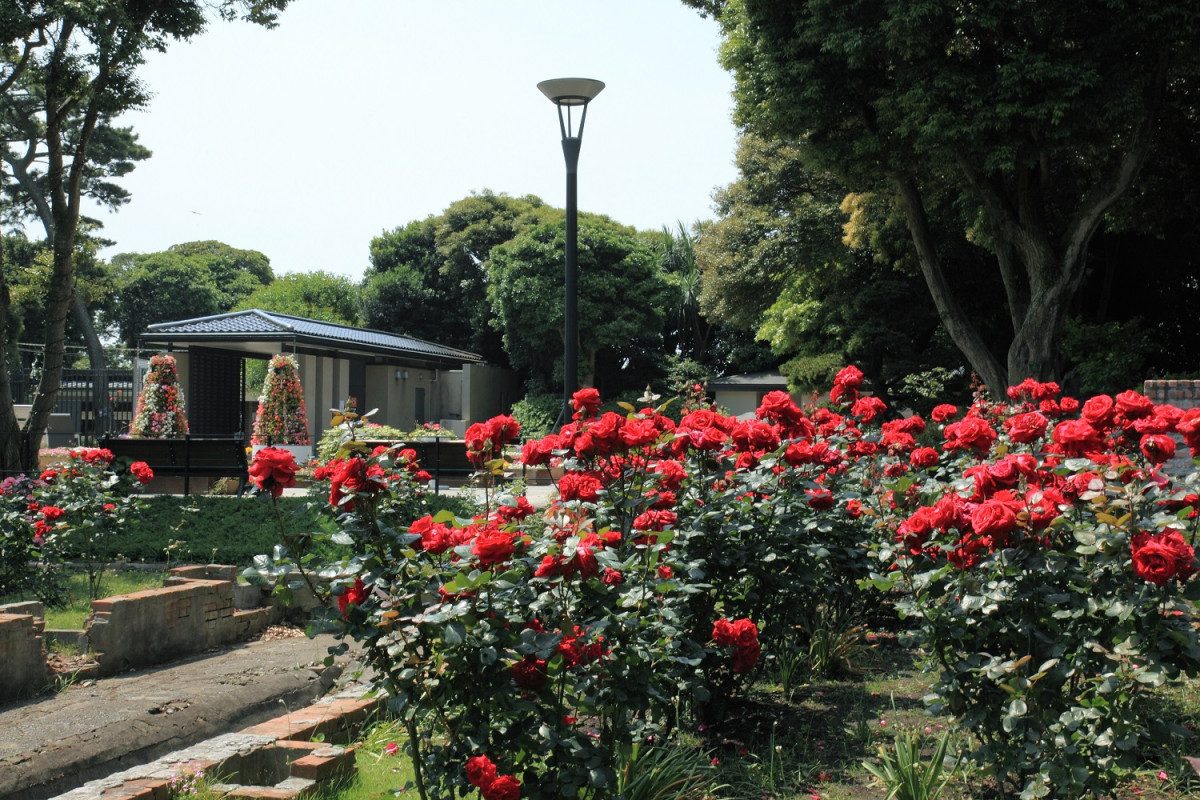 Samuel Cocking Garden