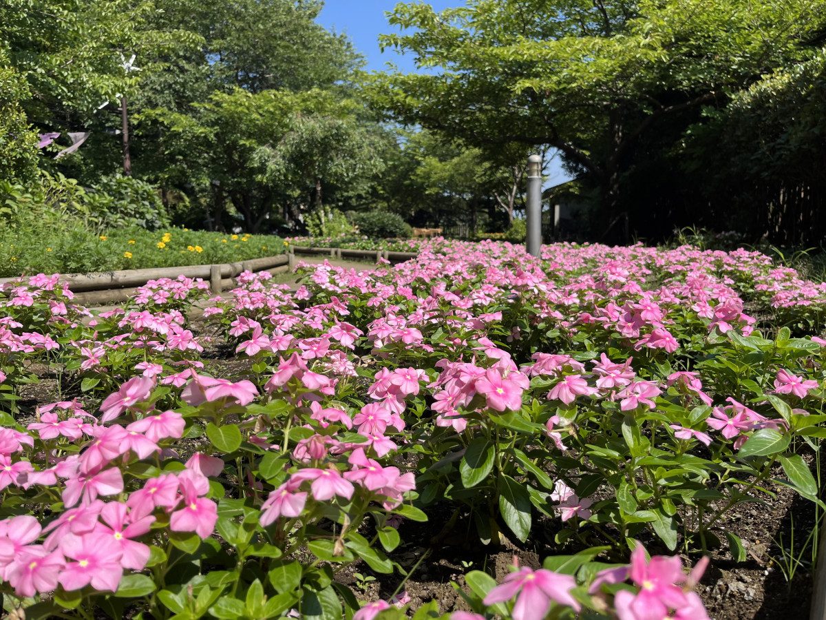 Enoshima Nakatsumiya Plaza