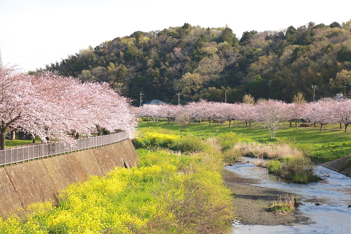 Hikichi River Waterside Park