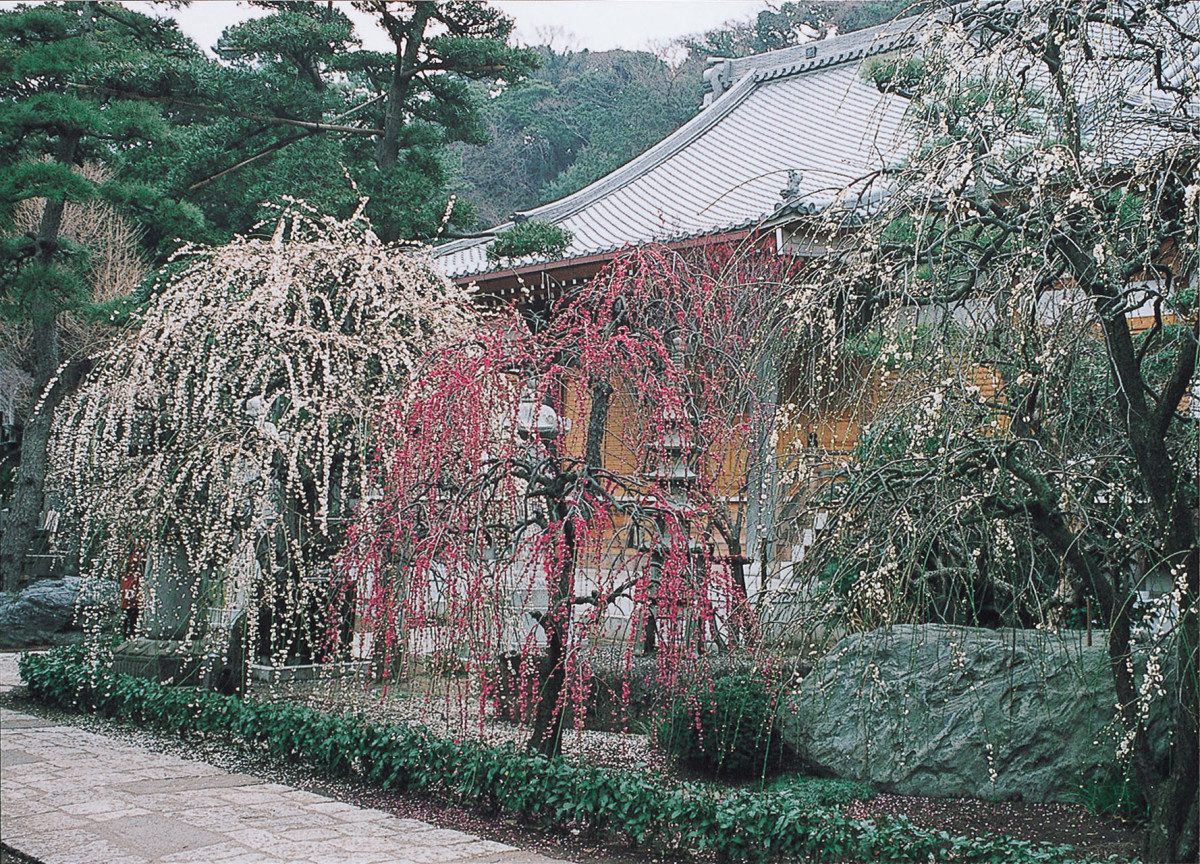 Joryu-ji