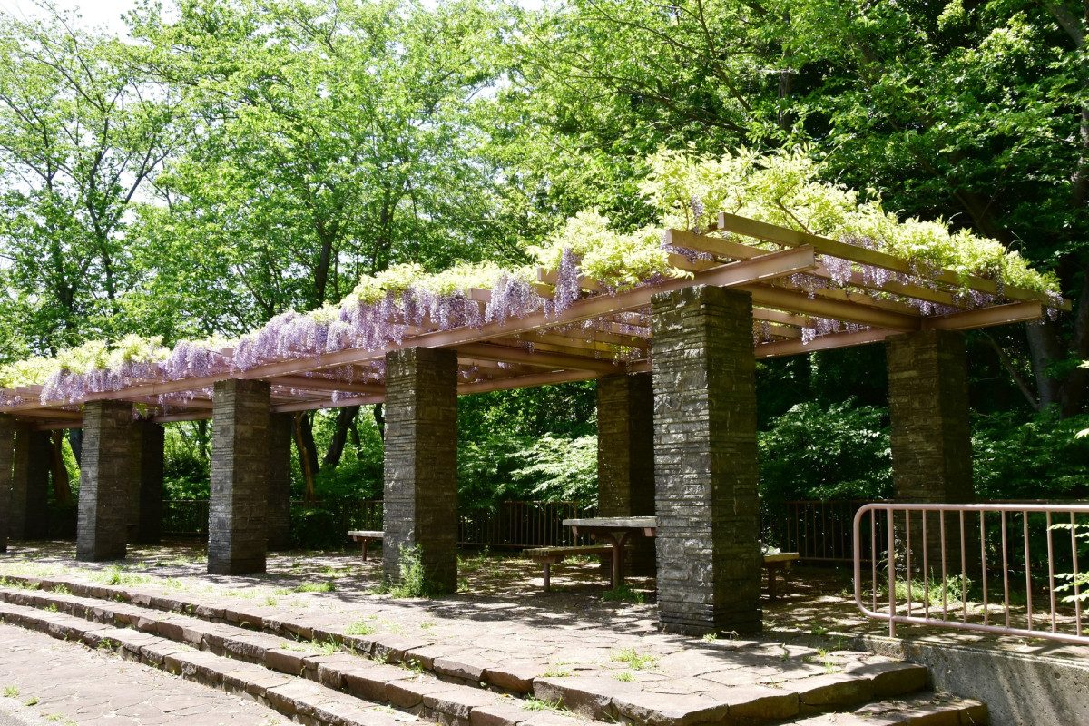 Oba Castle Park