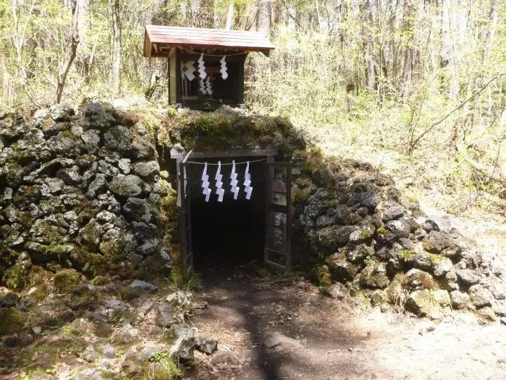 Yoshida Tainai Lava Tree Molds