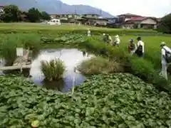 Hasu Pond (Myoken Lake)