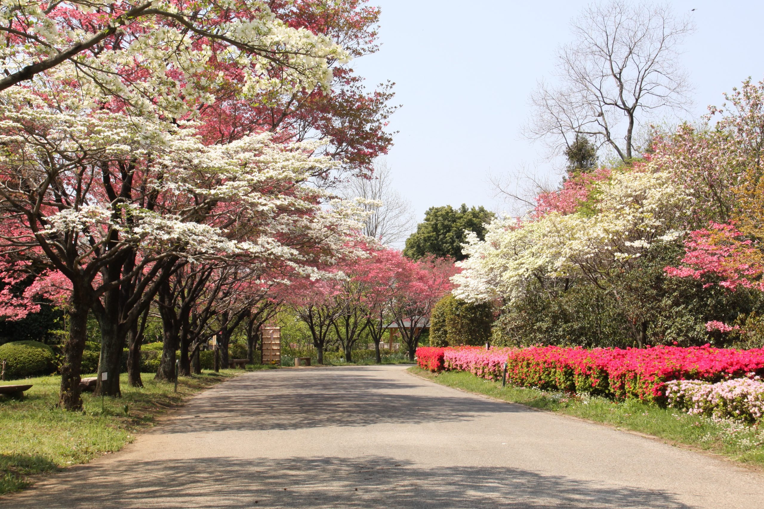 Fukaya Green Kingdom