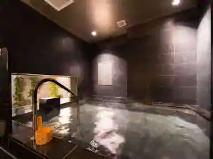 Tennen Onsen Horai Yama No Yu Super Hotel Echizen Takefu
