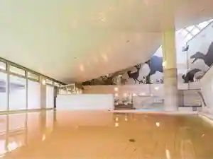 Higaeri Tennen Onsen Kyoryu No Yado &SPA