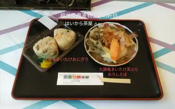 奥越前　はいから茶屋
