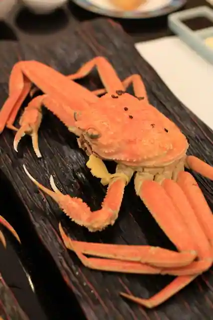 内湯の宿　おおとく