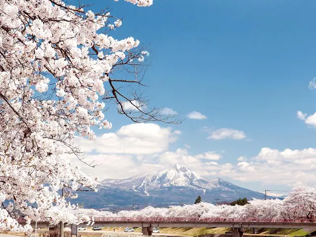 Miyagawa Thousand Cherries