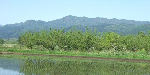 Mount Myojingatake