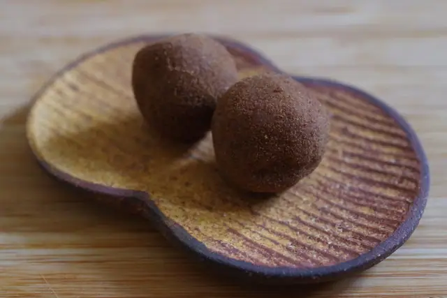 Honke Nagatoya Kawaramachi