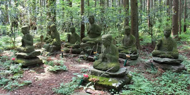 Tsuiji no Mori Seven Monks