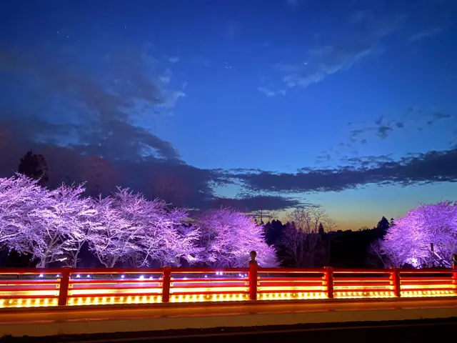 Okawa River Cherry Avenue at Enichiji