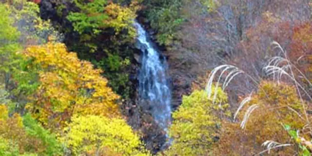 Tobi Falls