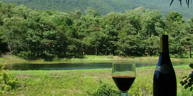 Luxury Petit Hotel Yuragi no Yado Shubo