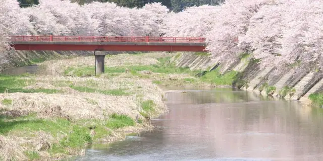 Samegawa River