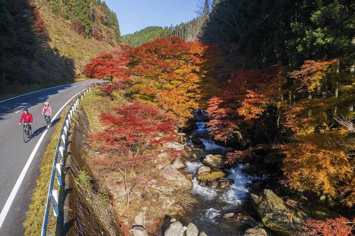 Yu Shi Onsen Sato no Autumn Leaves