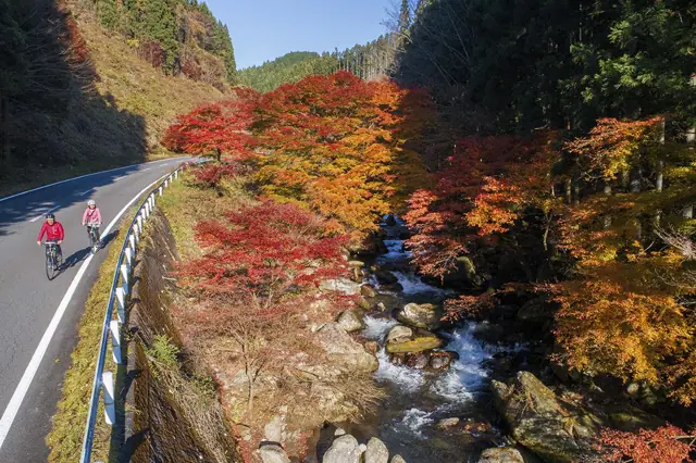 Autumn Leaves of Yujimata Onsen