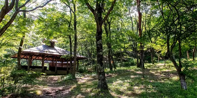 Hanawa Fureai Forest