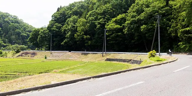 Triangle Road