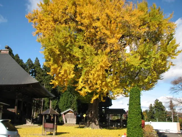 Daijuku Yakuoji Yakushido