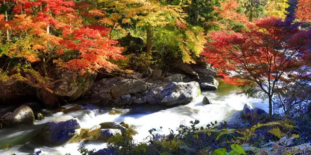 Nagura River Gorge