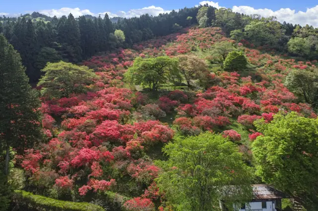 Furoyama Park