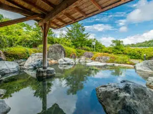 Yuyu Land Hanawa (Yujimata Onsen)