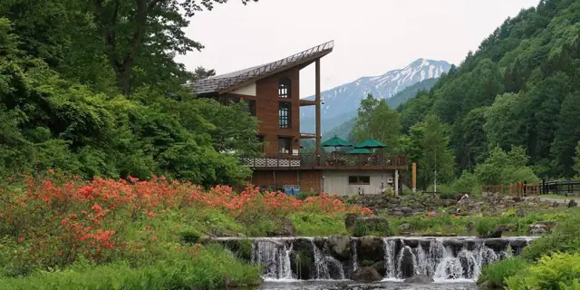 Mini Oze Park