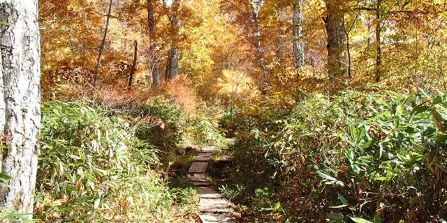 Numayama Pass
