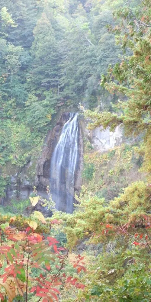 Autumn Leaves at Mokake Falls