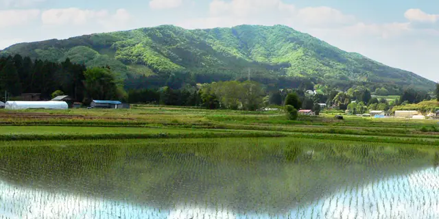 Mount Yomogita