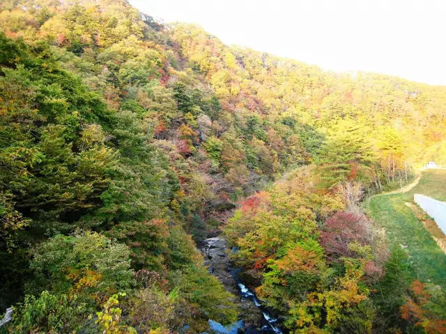 Mano River Gorge