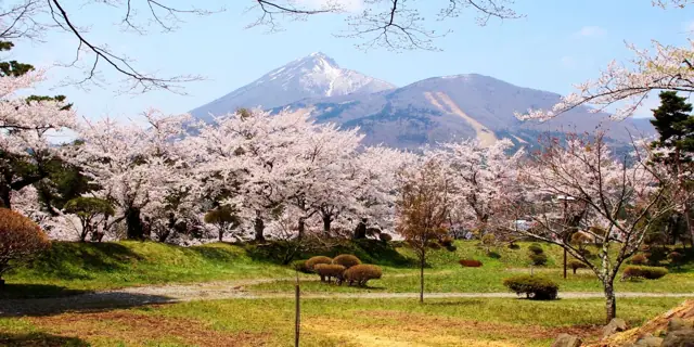 Kamegajo Park