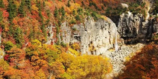 Shiraito Falls