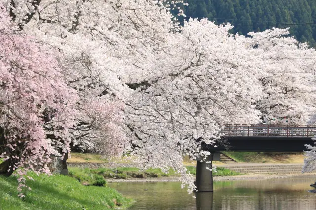Ishikawa Sakuradani
