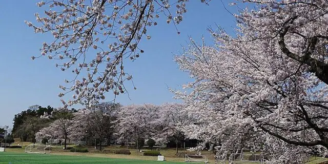 Torimiyama Park